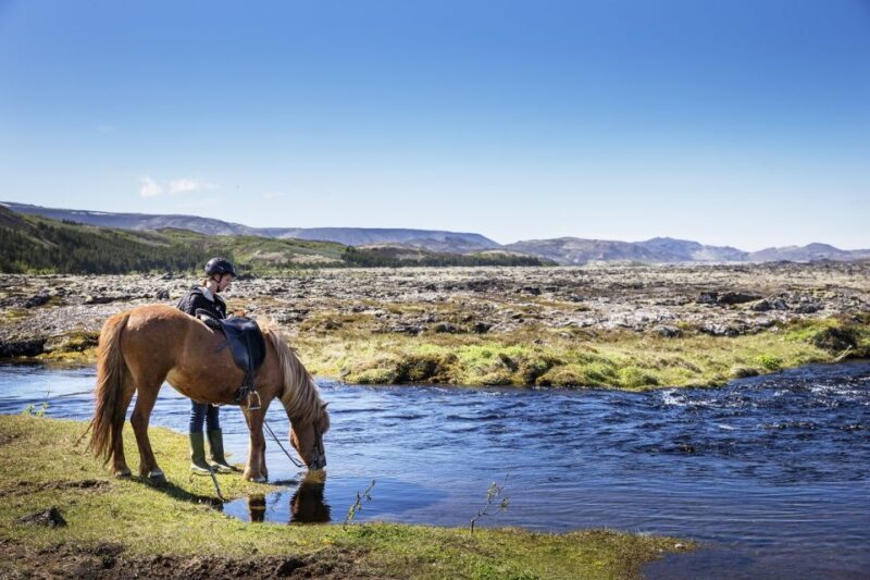 Hafnarfjörður: Horseback Riding Tour in Reykjavik Area - What to Expect from the Tour