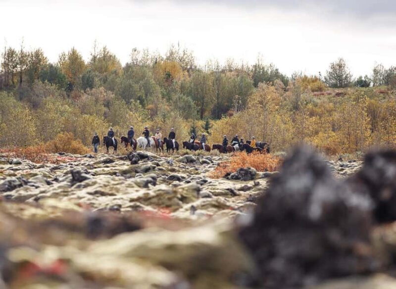 Hafnarfjörður: Horseback Riding Tour in Reykjavik Area - How Value Meets Experience