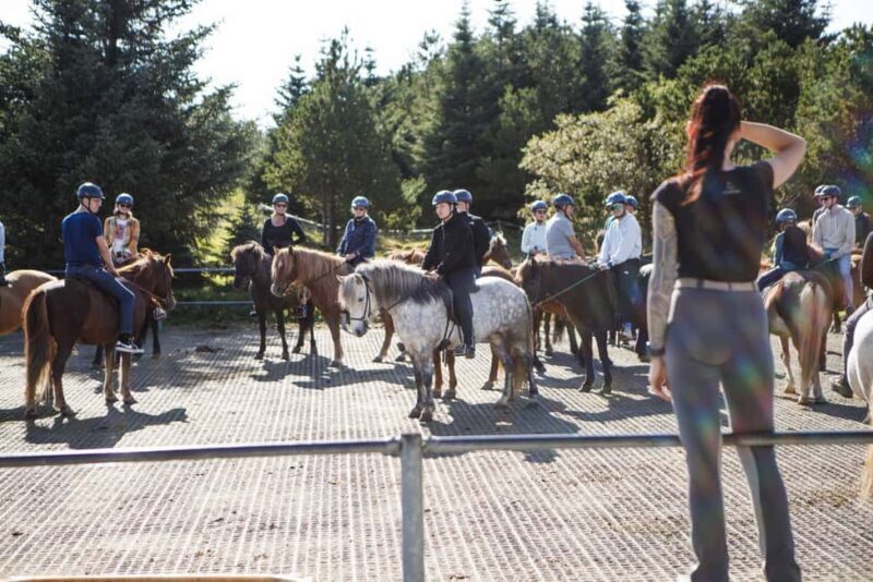 Hafnarfjörður: Horseback Riding Tour in Reykjavik Area - Final Thoughts: Is This Tour Right for You?