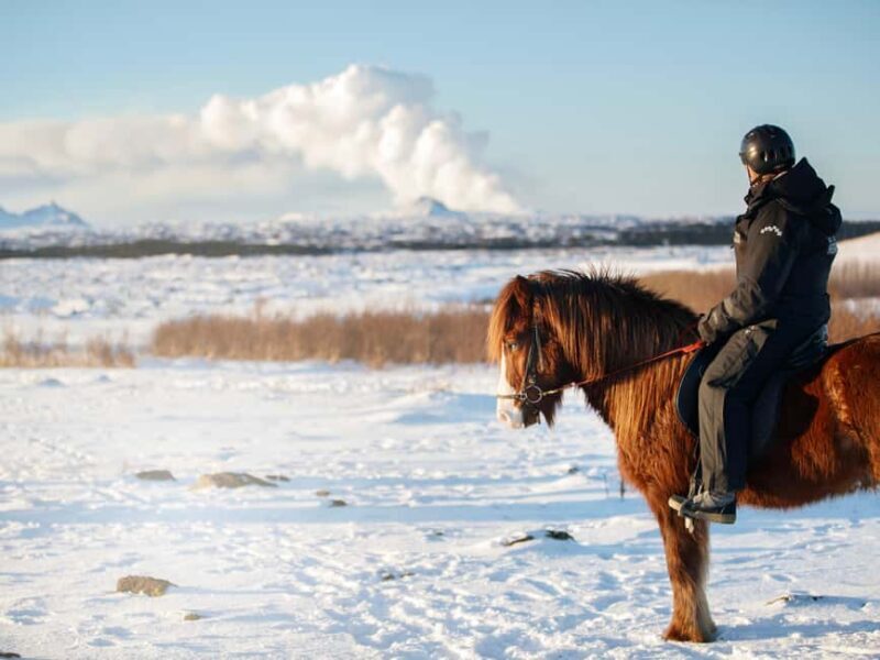 Hafnarfjörður: Horseback Riding Tour in Reykjavik Area - FAQs