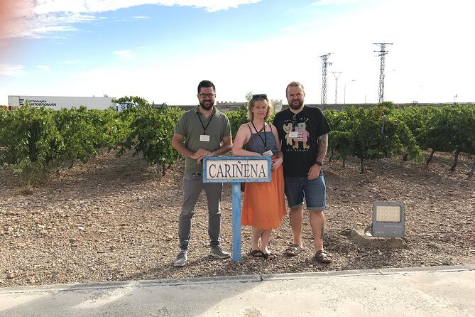Haft-day Winery tour from Zaragoza - What Do Travelers Say?