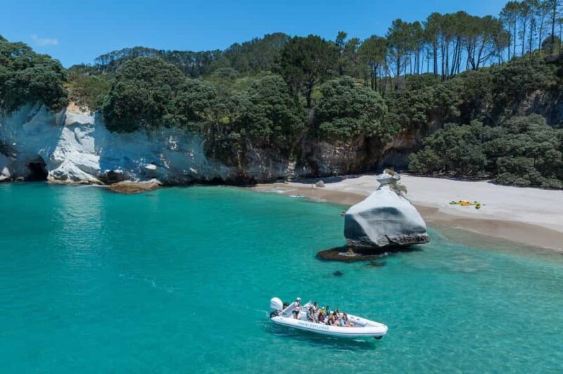 Hahei Explorer Cathedral Cove Boat Tour - Key Points