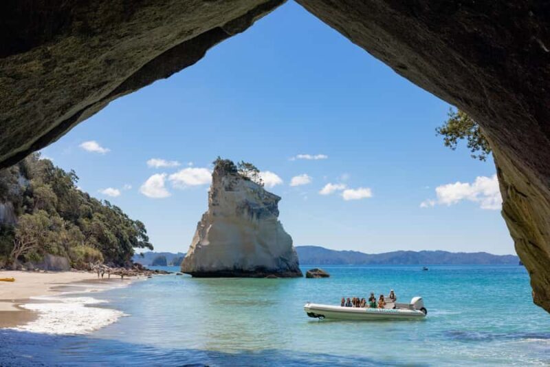 Hahei Explorer Cathedral Cove Boat Tour - What Travelers Say