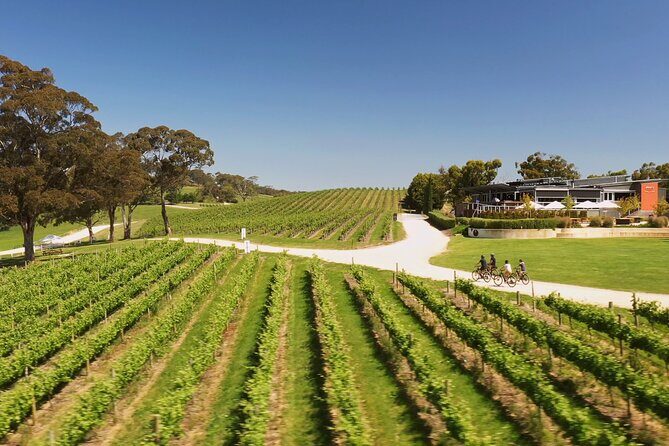 Hahndorf food and wine E-Bike Tour - Who Is This Tour Best Suited For?