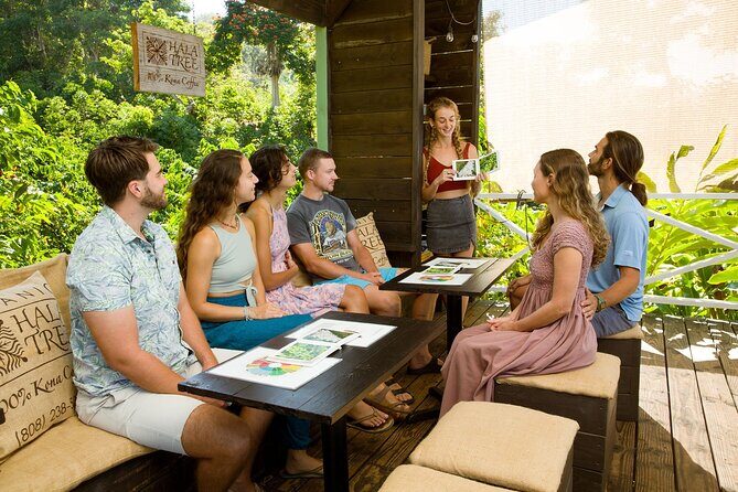 Hala Tree Coffee Farm Tour - What’s Included and How It Works