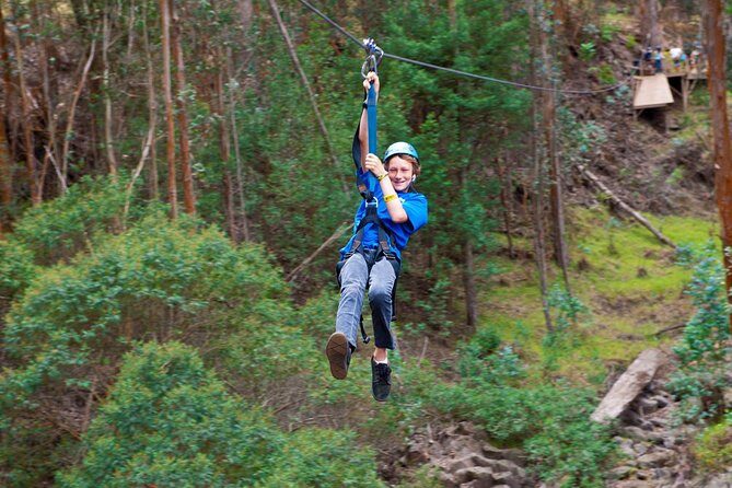 Haleakala 6 Line Zipline Adventure - What the Reviews Say: Authentic Perspectives