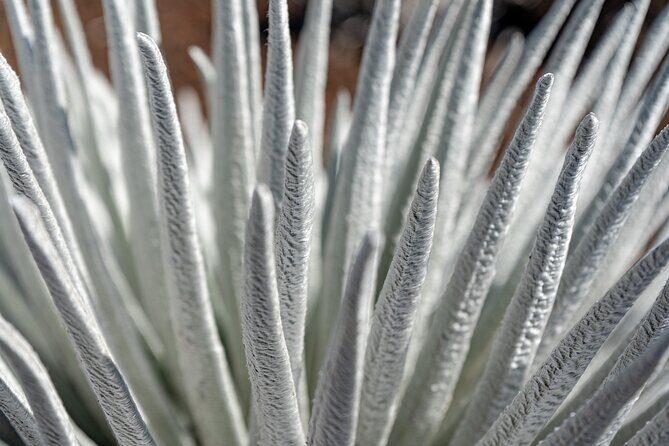 Haleakala Crater Hiking Experience - FAQs