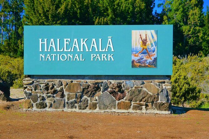 Haleakala Morning Best Guided Bike Tour with Bike Maui - What Past Travelers Say