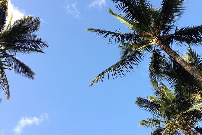 Haleakala Volcano Slingshot Tour from Lahaina - FAQs