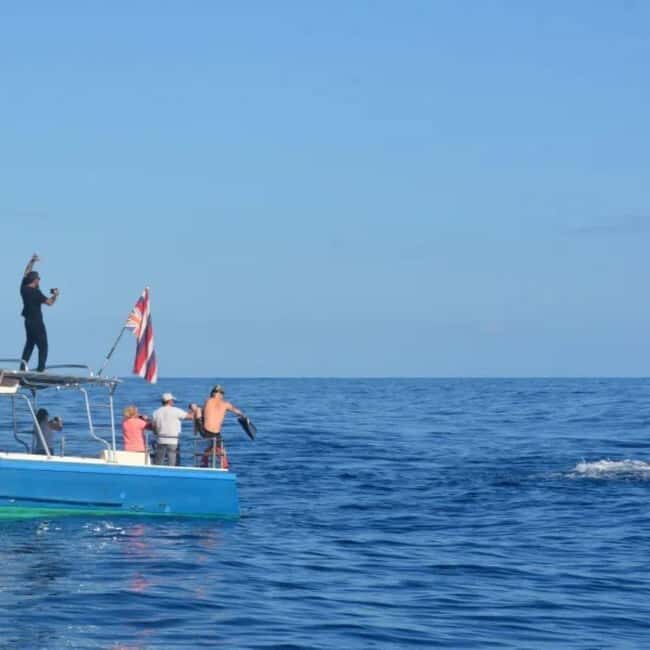 Haleiwa: North Shore Whale Watching Tour by Catamaran - Key Points