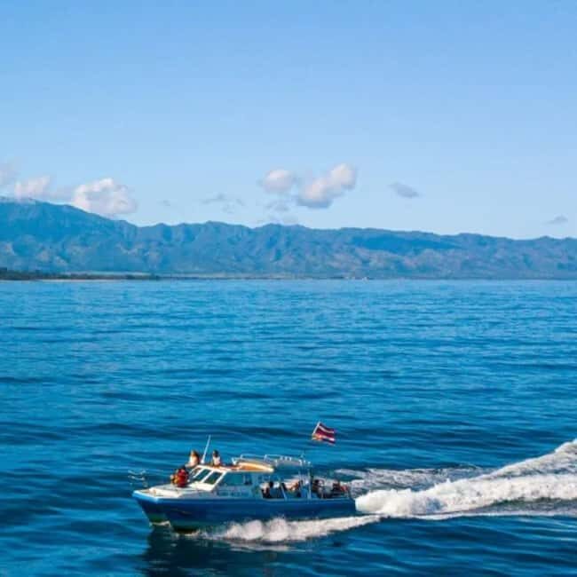 Haleiwa: North Shore Whale Watching Tour by Catamaran - Who Should Consider This Tour?