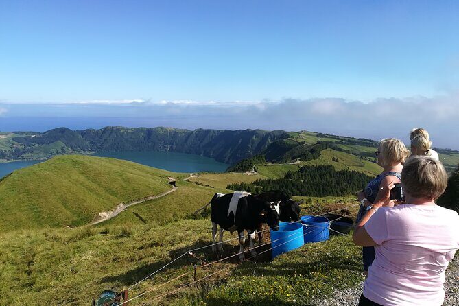 Half Day 4x4 Private tour from Ponta Delgada Azores - Who Is This Tour Best For?