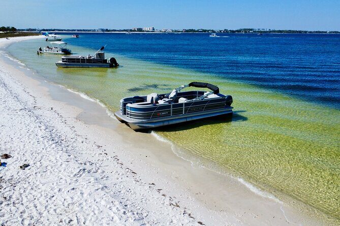 Half Day 60HP Pontoon Rental to Shell Island - Who Is This Tour Perfect For?