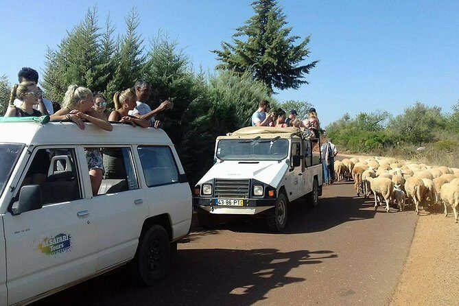 Half-Day Algarve Countryside and Villages Jeep Safari - Practical Logistics and Booking