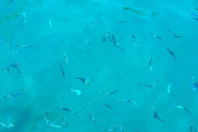 Half-Day Amalfi Coast Boat & Snorkeling Small Group Tour - Final Thoughts