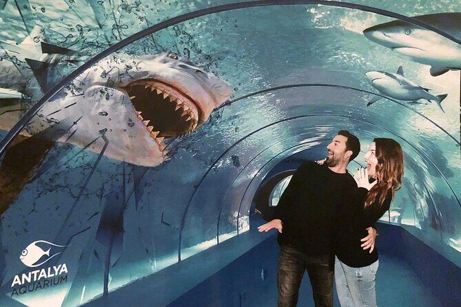 Half Day Antalya Aquarium Tour And Wax Museum - Key Points