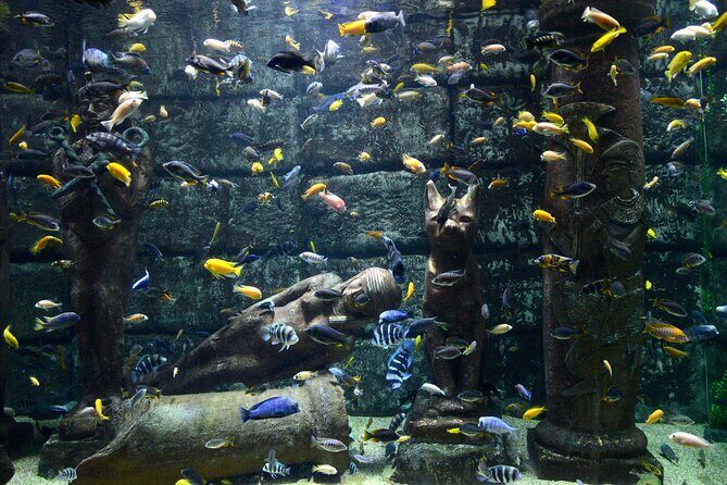Half Day Antalya Aquarium Tour And Wax Museum - Who Will Enjoy This Tour?