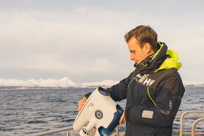 Half Day Arctic Fjord Cruise from Tromso - Exploring Tromsø’s Fjords: A Detailed Look at the Half Day Arctic Fjord Cruise