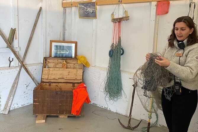 Half Day Arctic Fjord Cruise from Tromso - Key Points