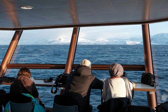 Half Day Arctic Fjord Cruise from Tromso - Who Is This Tour Best For?
