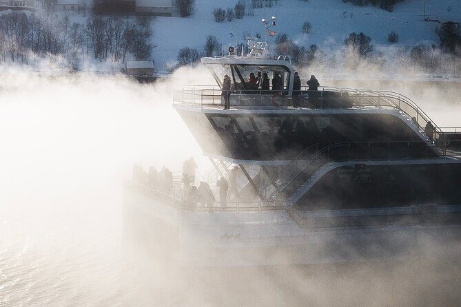 Half Day Arctic Fjord Cruise from Tromso - Frequently Asked Questions