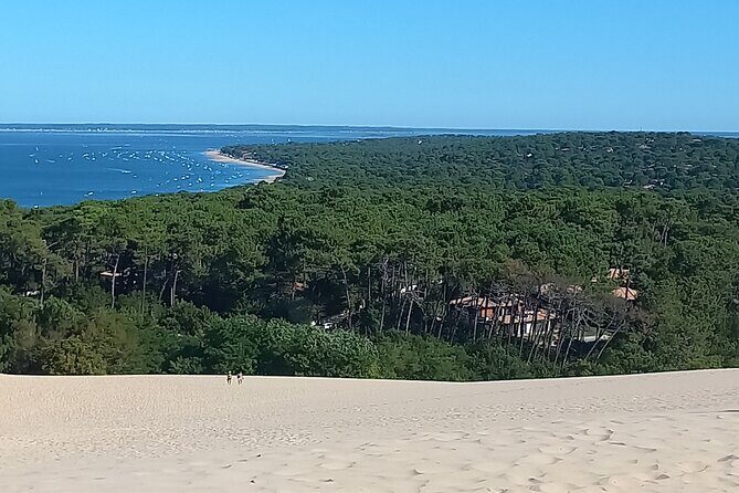 Half day at the Arcachon Bay and the Dune of Pilat - Potential Downsides and Considerations
