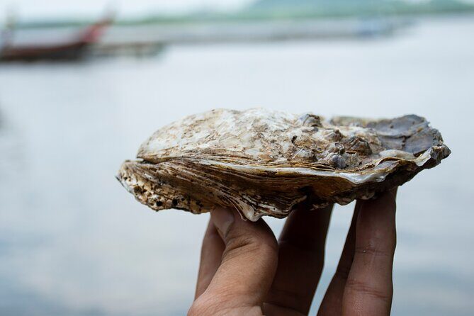 Half day at the Arcachon Bay and the Dune of Pilat - Additional Notes