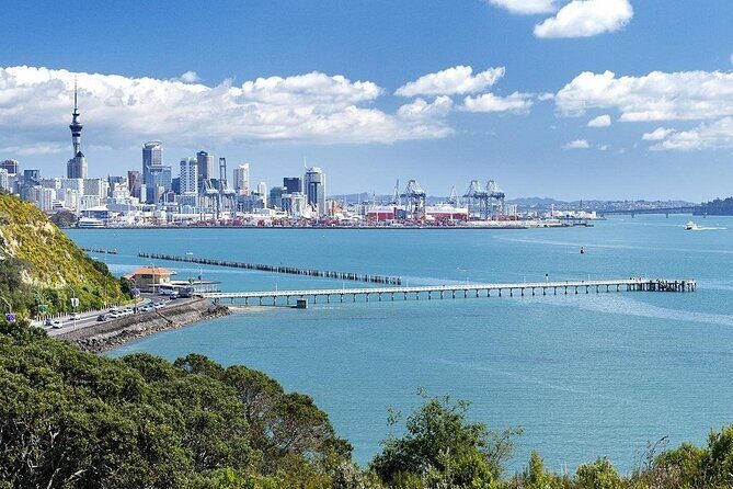 Half Day Auckland City Sightseeing Tour with Expert Guide - Drawbacks and Considerations