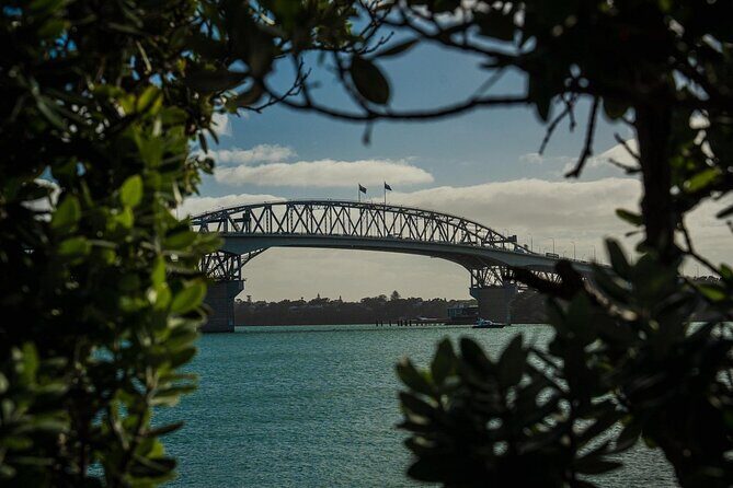 Half Day Auckland City Sightseeing Tour with Expert Guide - Who Is This Tour Best Suited For?