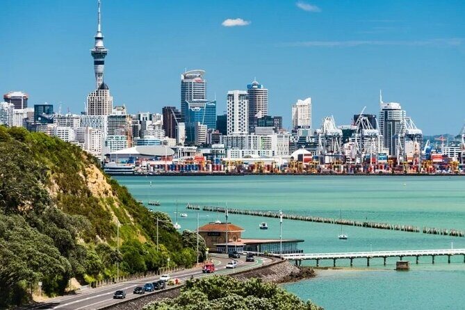 Half-Day Auckland City Tour  The City of Sails Uncovered - Authentic Feedback and What Travelers Say
