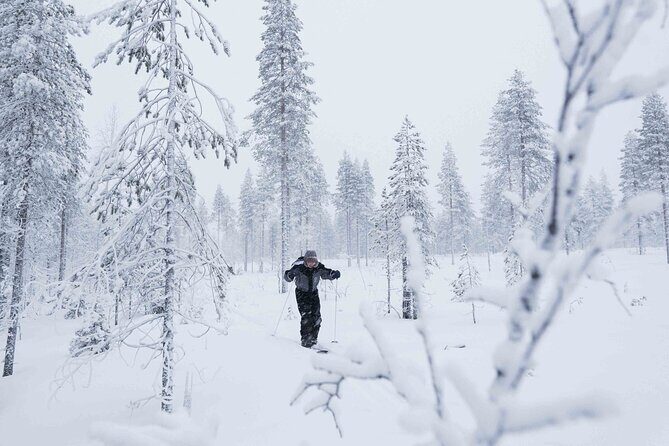 Half-Day Backcountry Skiing Tour in Levi with Photography Guide - What to Expect from the Tour