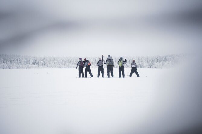 Half-Day Backcountry Skiing Tour in Levi with Photography Guide - Who Would Love This Tour?