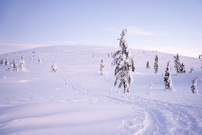 Half-Day Backcountry Skiing Tour in Levi with Photography Guide - The Sum Up