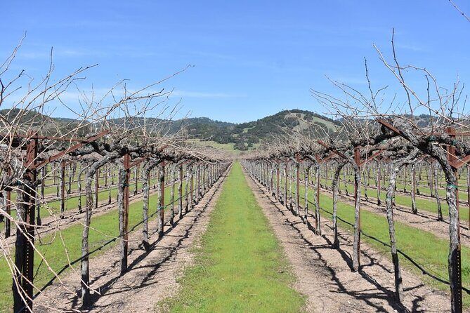 Half Day Bike Tour - What Makes This Tour Stand Out