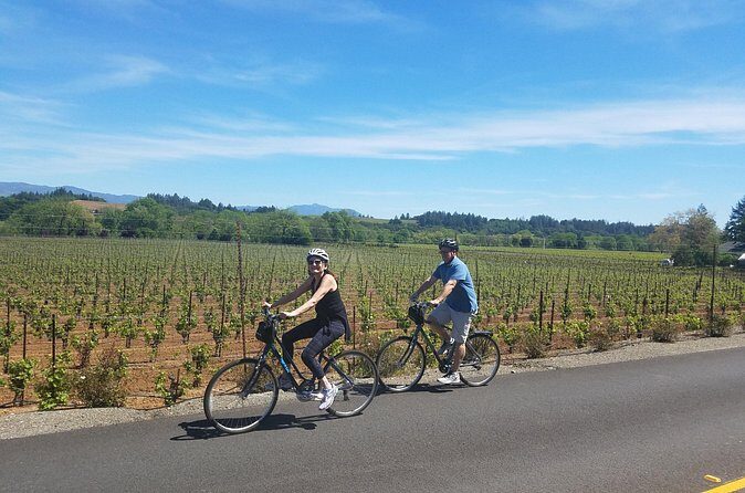 Half Day Bike Tour - Final Thoughts: Who Is This Tour Best For?