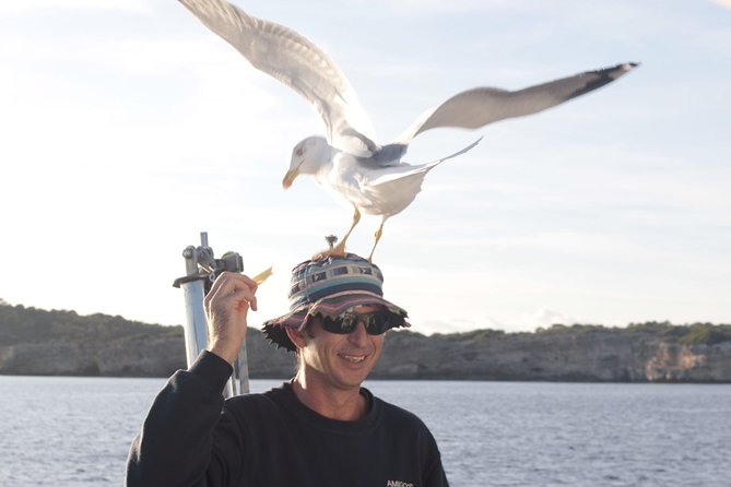 Half-Day Boat Tour along The South Coast of Menorca - Where it departs: getting to the dock without stress