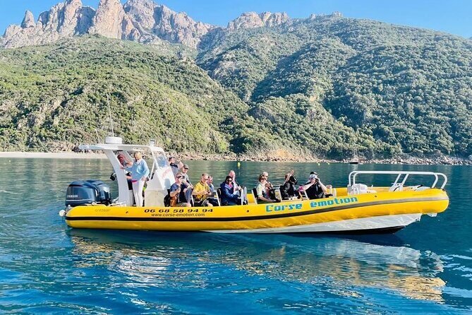 Half Day Boat Trip to Scandola Calanche de Piana - Diving Into the Experience