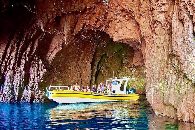 Half Day Boat Trip to Scandola Calanche de Piana - Price & Value
