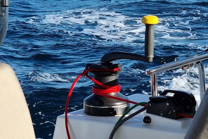 Half Day Catamaran Tour in Algarve - Lagos - Who Is This Tour Best Suited For?