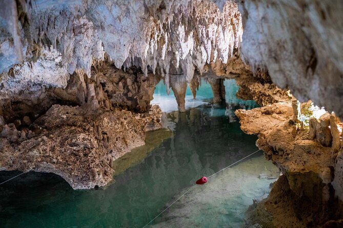 Half Day Cenotes Experience - What the Tour Offers: A Deep Dive