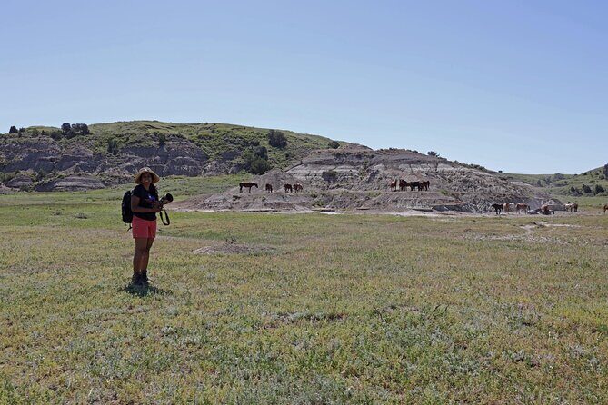 Half Day Chasing Horses Wildlife Photography Experience in North Dakota - What Could Be Improved or Considered