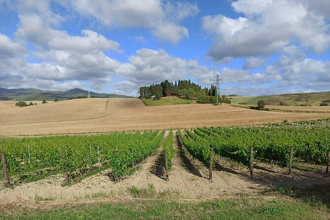 HALF-DAY: Chianti Classic Tour with Wine Experience & visit of San Gimignano - FAQs