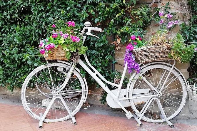 Half-Day Chianti Wine and Olive Oil Tour from Viareggio - A Closer Look at the Experience