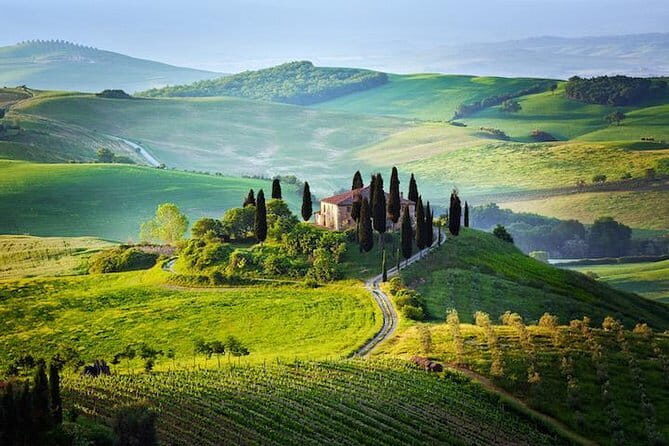 Half Day Chianti Wine Tour with Private Luxury Van - An In-Depth Look at the Chianti Half-Day Tour