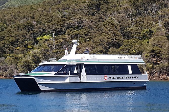 Half-Day Cruise in Marlborough Sounds from Picton - Exploring the Marlborough Sounds: A Practical Review of the Half-Day Cruise from Picton