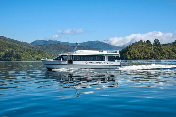 Half-Day Cruise in Marlborough Sounds from Picton - Key Points