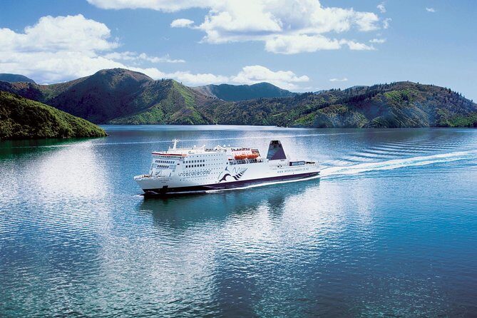 Half-Day Cruise in Marlborough Sounds from Picton - Final Thoughts