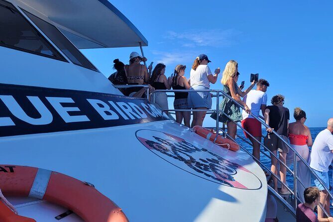 Half-Day Cruise Tour-Dolphin and Whale Watching - An In-Depth Look at the Cruise Experience