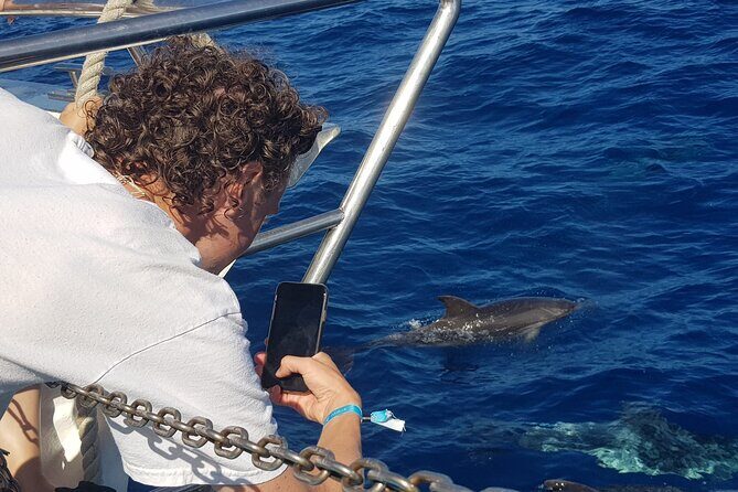 Half-Day Cruise Tour-Dolphin and Whale Watching - Final Thoughts on the Experience