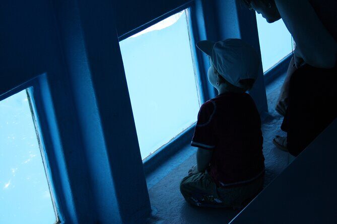 Half-Day Cruise Tour-Dolphin and Whale Watching - FAQ